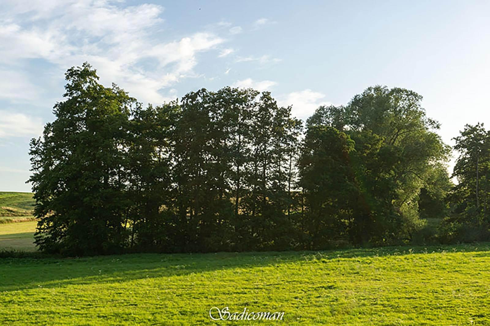 paysage