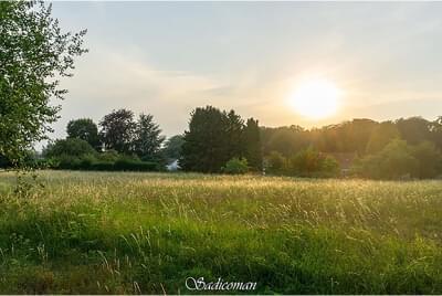 paysage