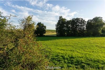 paysage